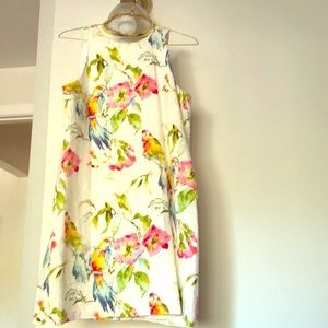 Tommy Bahama parrot print shift dress